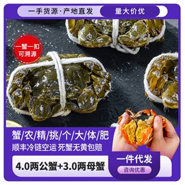 大闸蟹