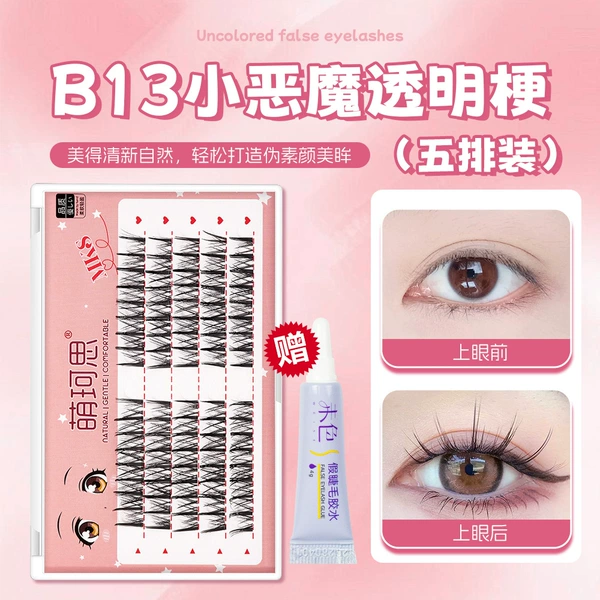 B13 Little Devil Transparent Terrier [Five Rows]