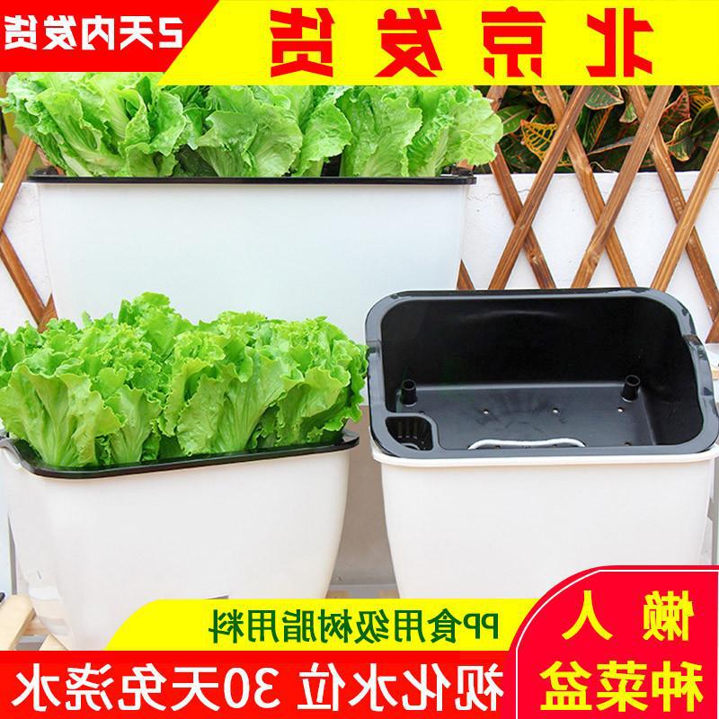 自动吸水花盆懒人种菜盆种植箱蔬菜家庭阳台长方形长条塑料花槽盆