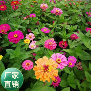 ���K���ܷN�ӹ�˾���l���N�������^���ܷN����춻������N�Nֲ