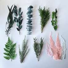 diyֹɻֲG~ާ~ȼ~޹ϞTϰ˱