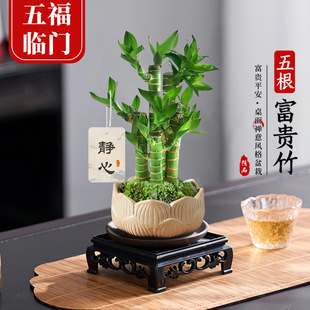 �k����������F�����ԃ�ֲ��G����������ؔ��ʽ�U��