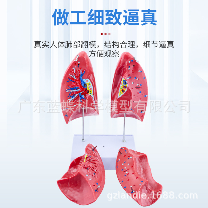 ��Ȼ��������ķ�ģ�ͺ�����״�ٷ��������ϵͳ�β�������ʽ�ѧ