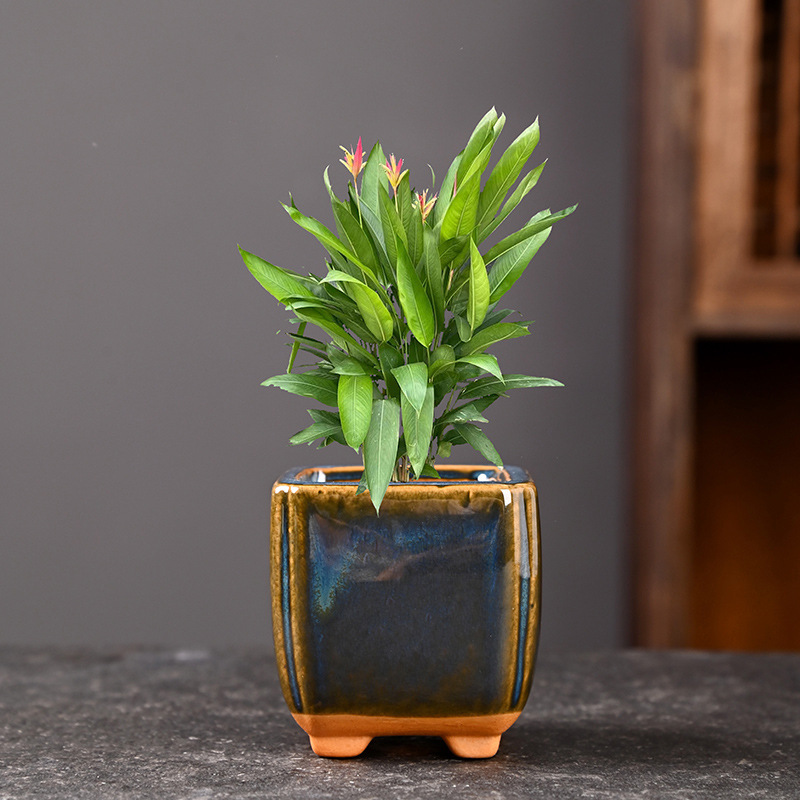 Maceta carnosa Galaxy, balcón doméstico de cerámica, junio, nieve, plantas verdes, bonsai, gres, lavabo de cerámica con control de raíces pequeñas, liquidación