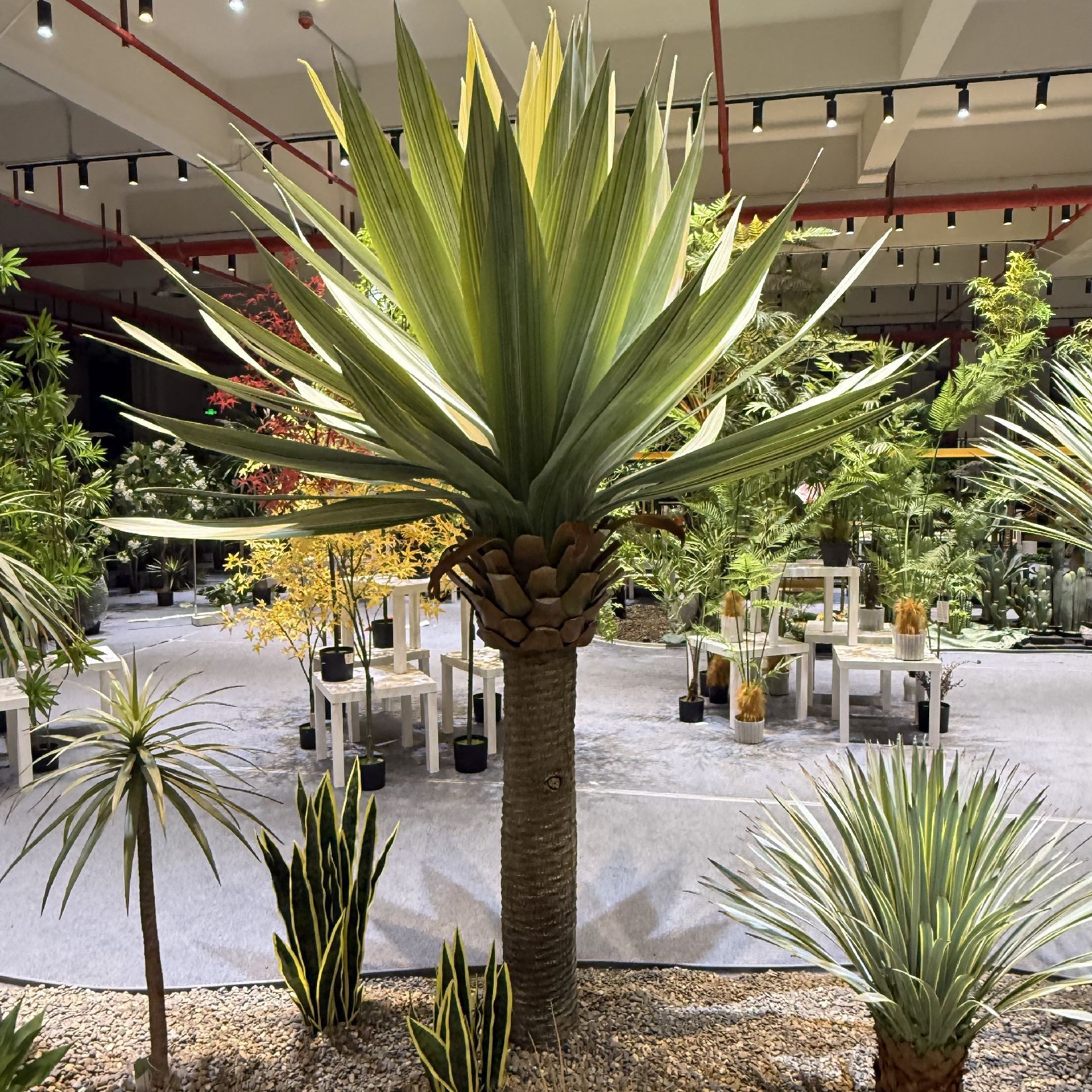 Simulación de plantación verde 1000 mano espada sala de exposiciones del centro comercial terraza maceta de goma blanda tequila paisajismo decoración de planta falsa grande image 5