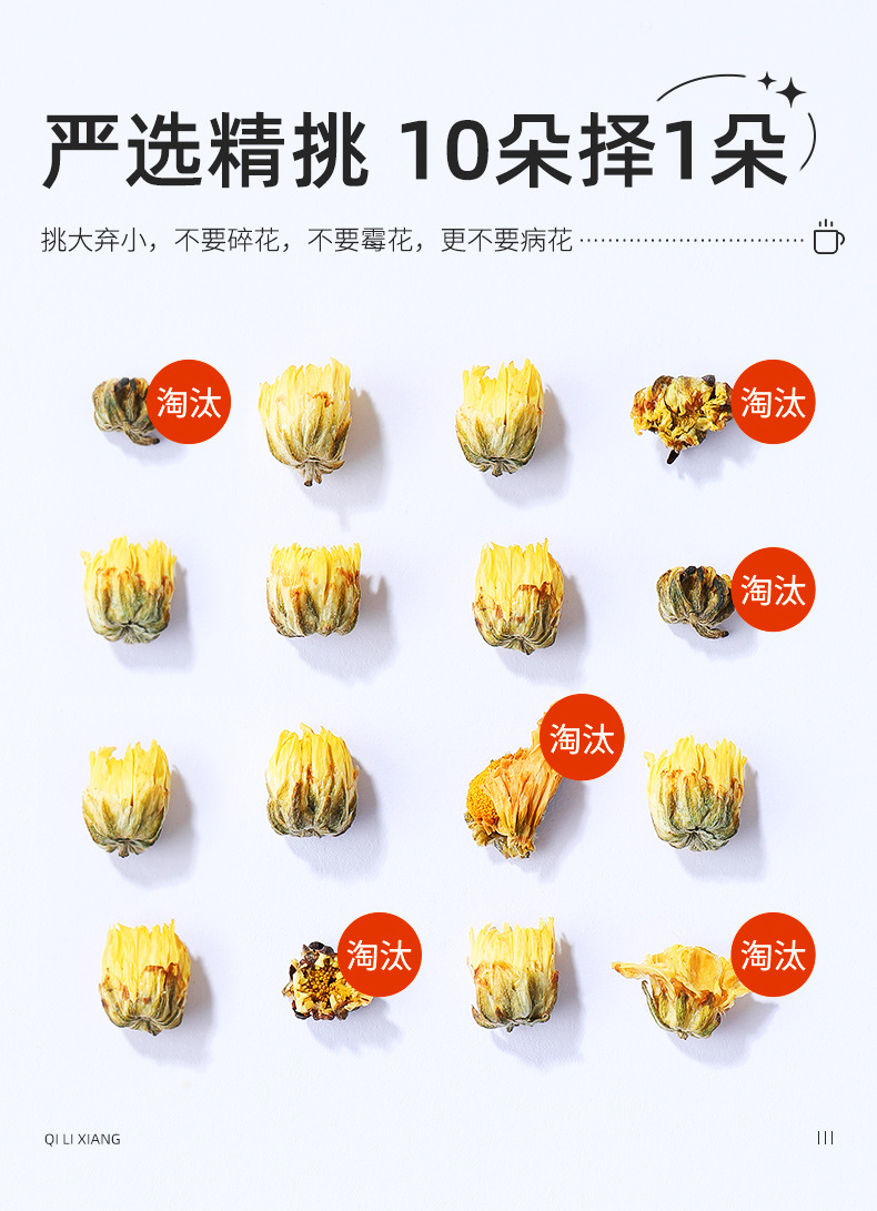 Tongxiang First Harvest Fetal Chrysanthemum Flower Tea 80g Round Tin Tai Ju for Daily Herbal Infusion quality and texture