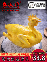 【顺丰】广东盐焗鸡整只2斤特产熟食即食手撕窑鸡客家烧鸡白切鸡