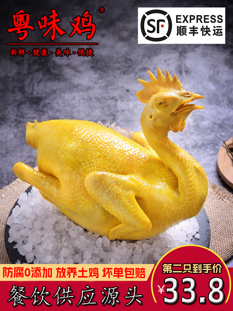 【顺丰】广东盐焗鸡整只2斤特产熟食即食手撕窑鸡客家烧鸡白切鸡