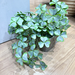 ���~�� ���\�� �b��쾰�ָ��z�~С�Gֲ�ٻ����������r���ǭ