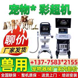 动物彩超机 宠物b超机销售 小动物彩色黑白超  兽医b超仪