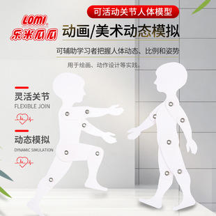 Lomi/Full Standard Art Plane 3D Dynamic Model Classroom Human Body Demonstration Sports Puzzle Can Be Moved