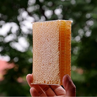 �䳲������250g/500g���ӷ�C�۷䳲�ۼ������ų��·䳲��