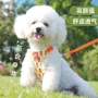 爆款印花舒适狗狗胸背带