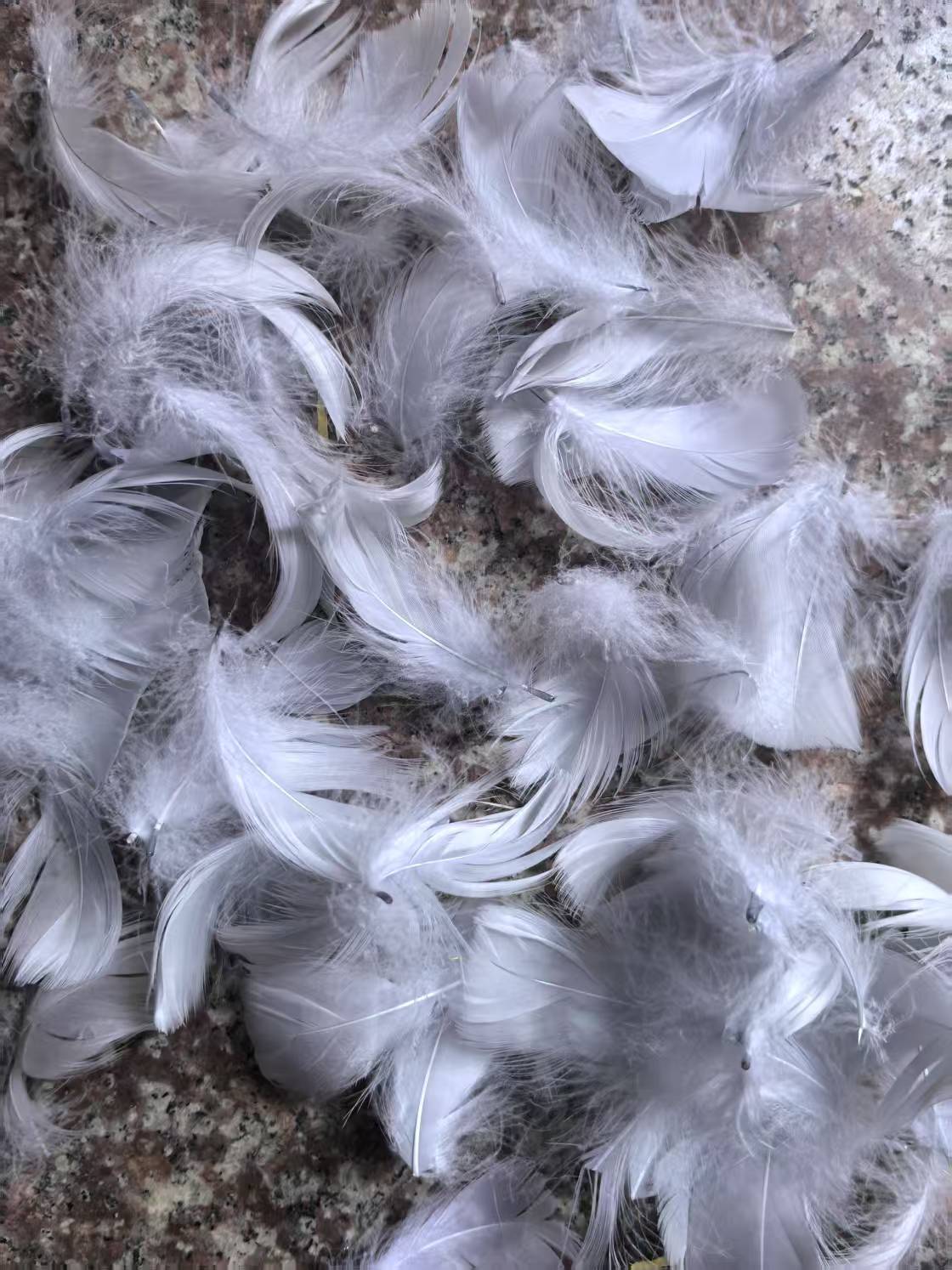 微信图片_20250123163138