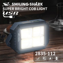 Multifunctional dual light lighting with output solar work l