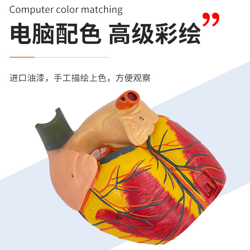 ��ѧ����5���Ŵ�����ģ�����������������걾������������ҽѧ