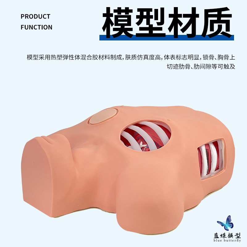 ��ǻ��ʽ����ģ�� ��ǻ����ѵ��ģ�� ��ǻ���˺�������������ģ��