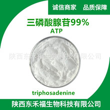 三磷酸腺苷99% ATP 腺嘌呤核苷三磷酸9000-83-3腺苷三磷酸1kg/袋