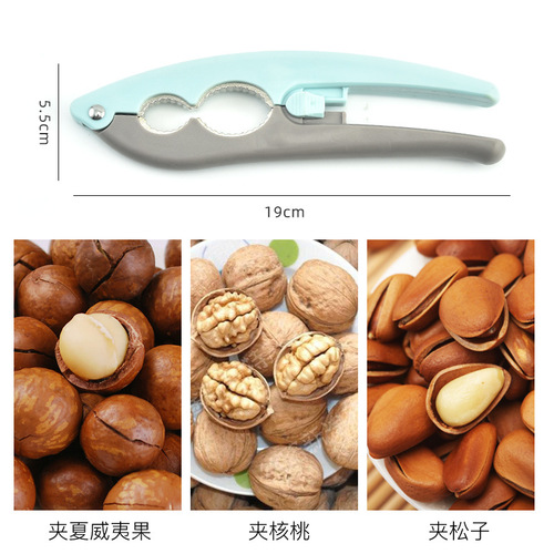 Manufacturer wholesale stainless steel walnut clips walnut pliers walnut clips pecan pine nuts kitchen tools crab claws