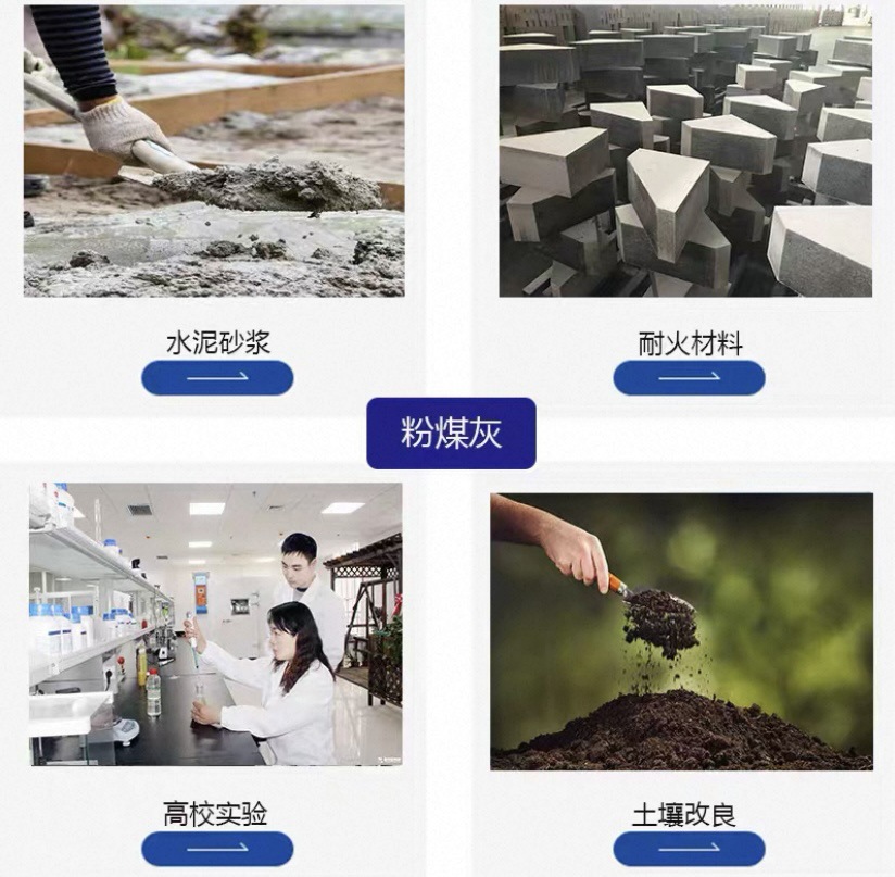 IMG_2059(20250910-085118)