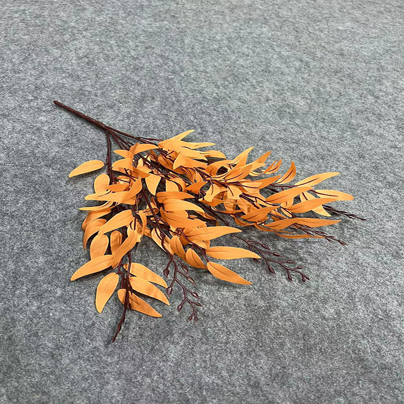 오렌지