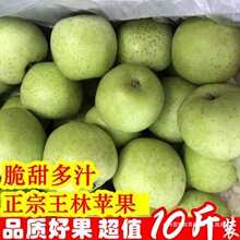 王林苹果现摘当季脆甜孕妇新鲜水果青森丑苹果时令青苹果整箱10斤