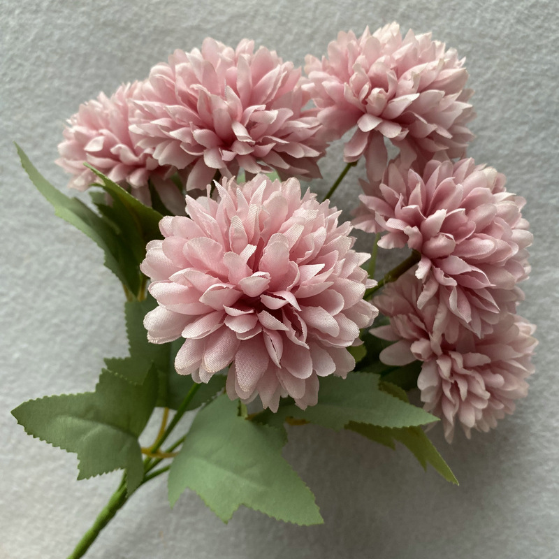 Light Bean Paste Color. JPG