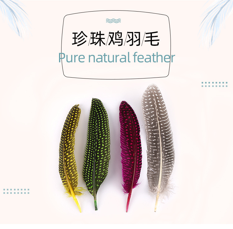 珍珠窝翎_01.jpg