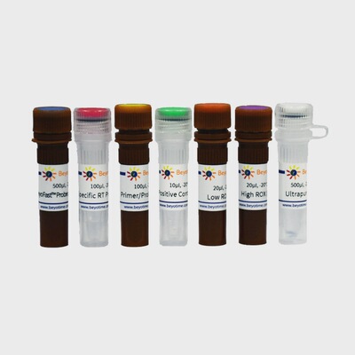 telomere enzymatic activity testing Kit  TERT mRNA Probe method) D8021S D8021M Pik days