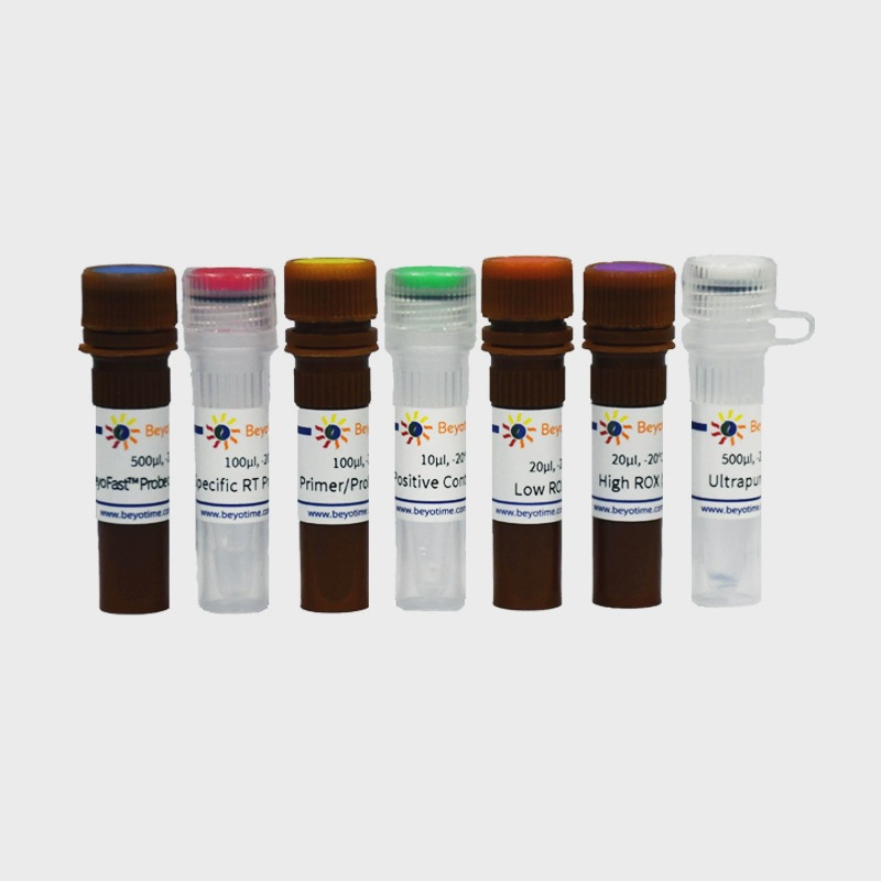 telomere enzymatic activity testing Kit  TERT mRNA Probe method) D8021S D8021M Pik days