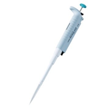 2024-11-13 09:52:01.jpg