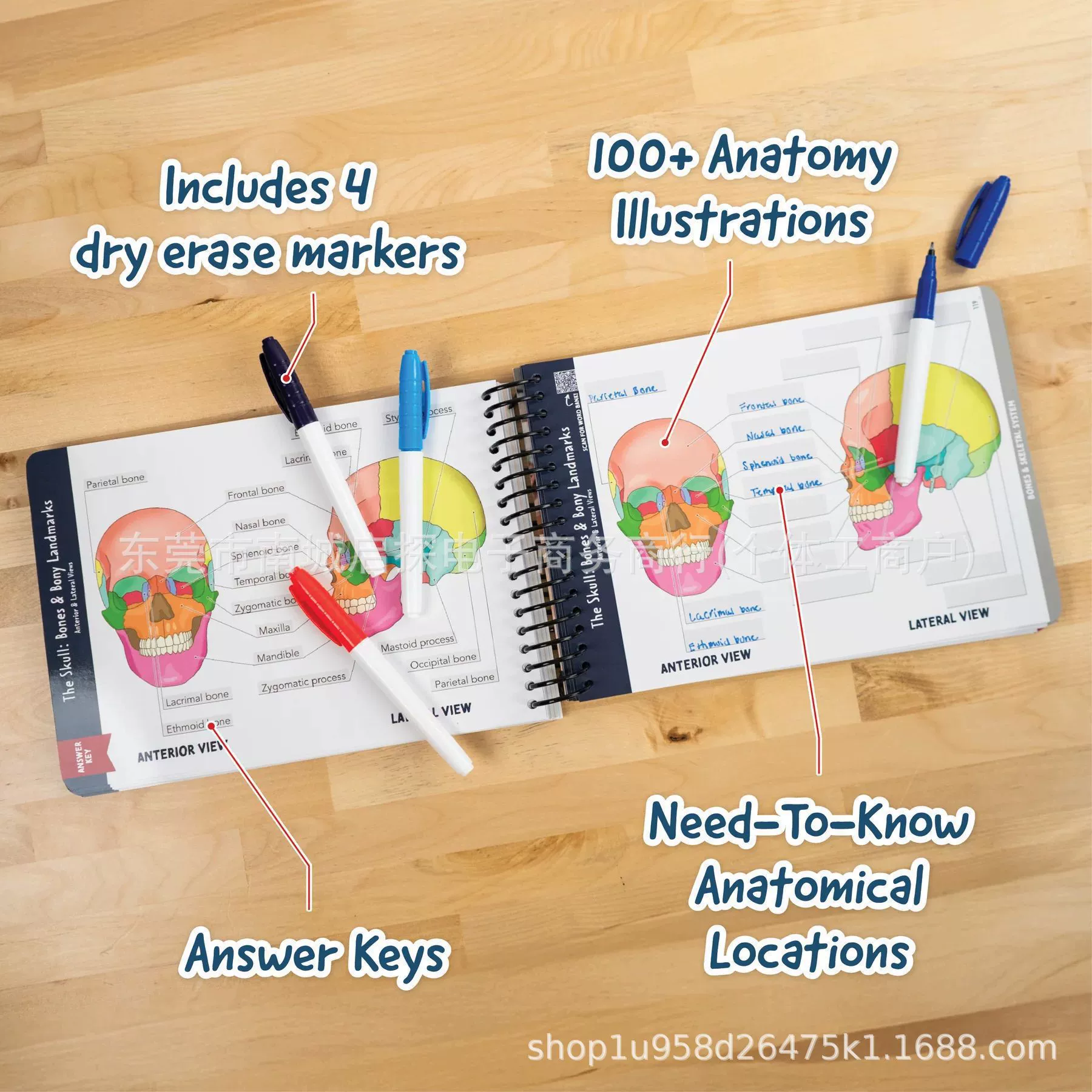 Новый предмет — рабочая тетрадь по анатомии с метками (Anatomy Label Lab Workbook)