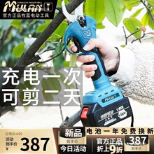 ����ԭװ�綯�����������ʽ����֦�����﮵�԰��԰���޼���֦