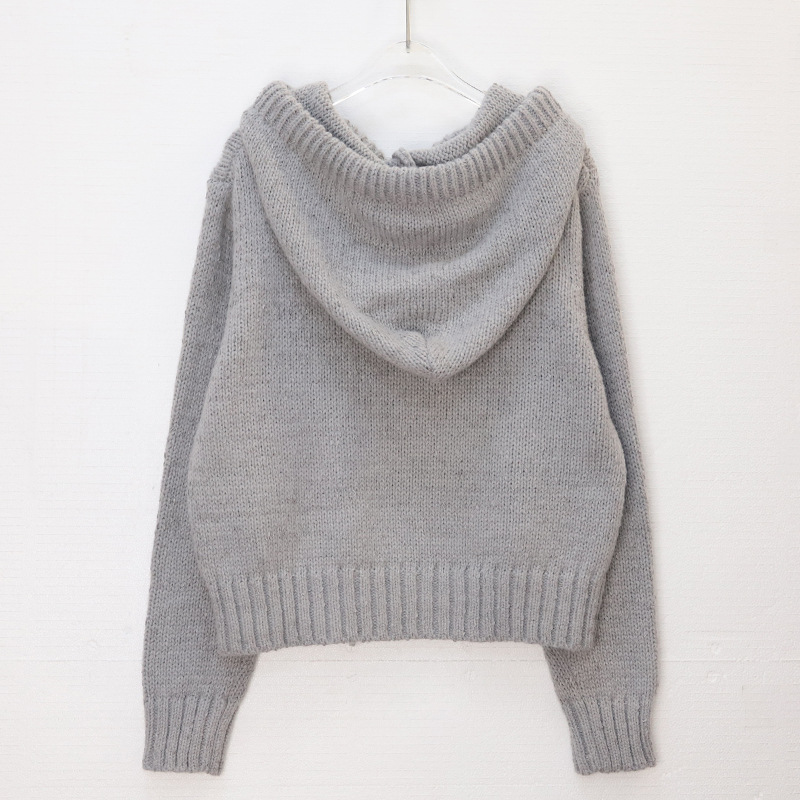 Women's Clothing light luxury sequined hooded sweater autumn and winter high end temperament versatile warm long sleeved knitted sweater women's trend_voghion.com