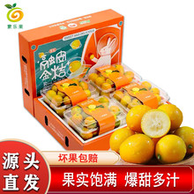 �����_ �ڰ���� ��Ƥ�V�����rˮ����؛�Y��5��ι��s20gԴ�^ֱ�l