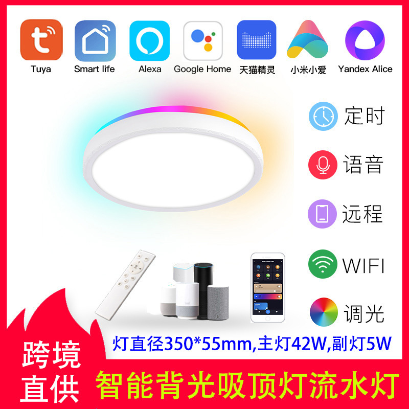 涂鸦智能家居吸顶灯手机蓝牙遥控辅助流水灯氛围灯背景灯独立控制