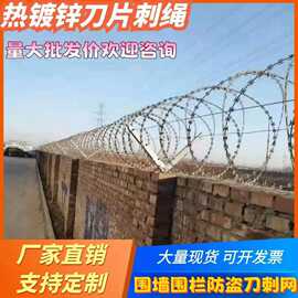 学校防攀爬带刺铁丝网安装高铁热镀锌刺绳围墙防护刀片刺丝滚笼