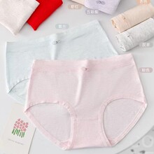 2025�����¿�Ůʿ��a�и����ʼ�͸���� ���s��ɫ���m���ǃ�ѝŮ