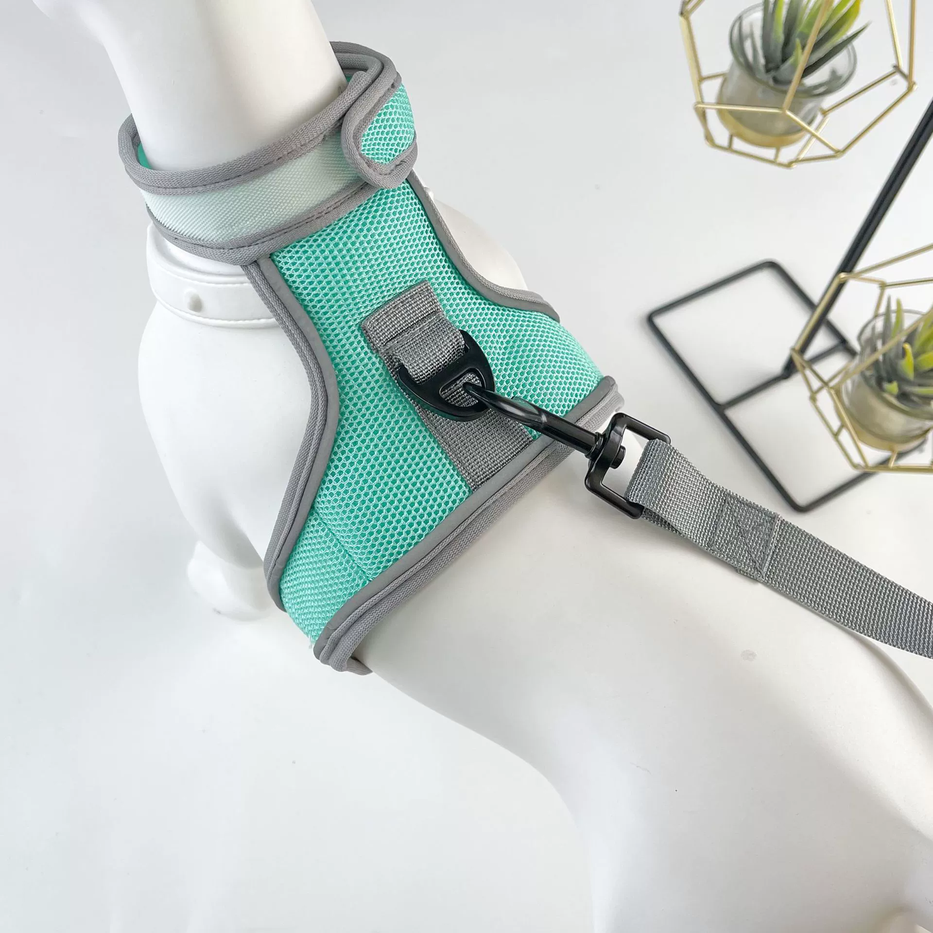 Новый 2024 кошачий буксирный трос ночью светоотражающие анти-оторваться кошачий ремешок для домашних животных