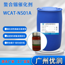 优润 螯合锡催化剂WCAT-NS01A 经济型深层固化螯合锡催化剂活性高