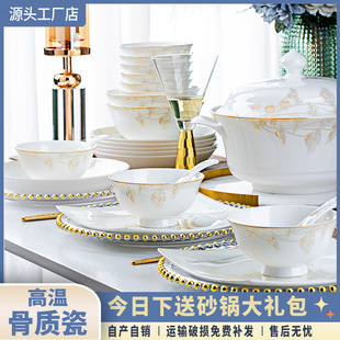 ����悸ߜ����²�2025������b�����p�ݲ;߹ǴɆ��w��P��M��