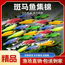 ���R�~�^�p�~���w��ˮ�����~�����Lβ��ˮ�~Ⱥ��ˮ�Ꭷ�~���B�ͻ�