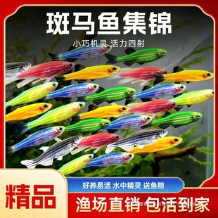 ���R�~�^�p�~���w��ˮ�����~�����Lβ��ˮ�~Ⱥ��ˮ�Ꭷ�~���B�ͻ�