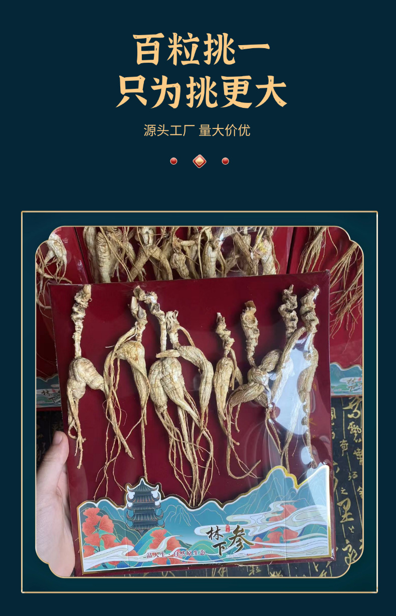 Wild-Simulated Ginseng Root 100g Sun-Dried Jilin Forest Grown 18-20 Year quality and texture