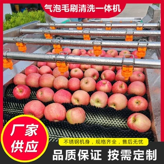 定制水果气泡毛刷清洗线黄皮果气泡清洗机鸡心果清洗风干流水线