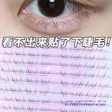 ���z�½�ë�ٽ�ëҊ�q�z�����г���Ȼ�½�ë�ٽ�ë2025�¿�