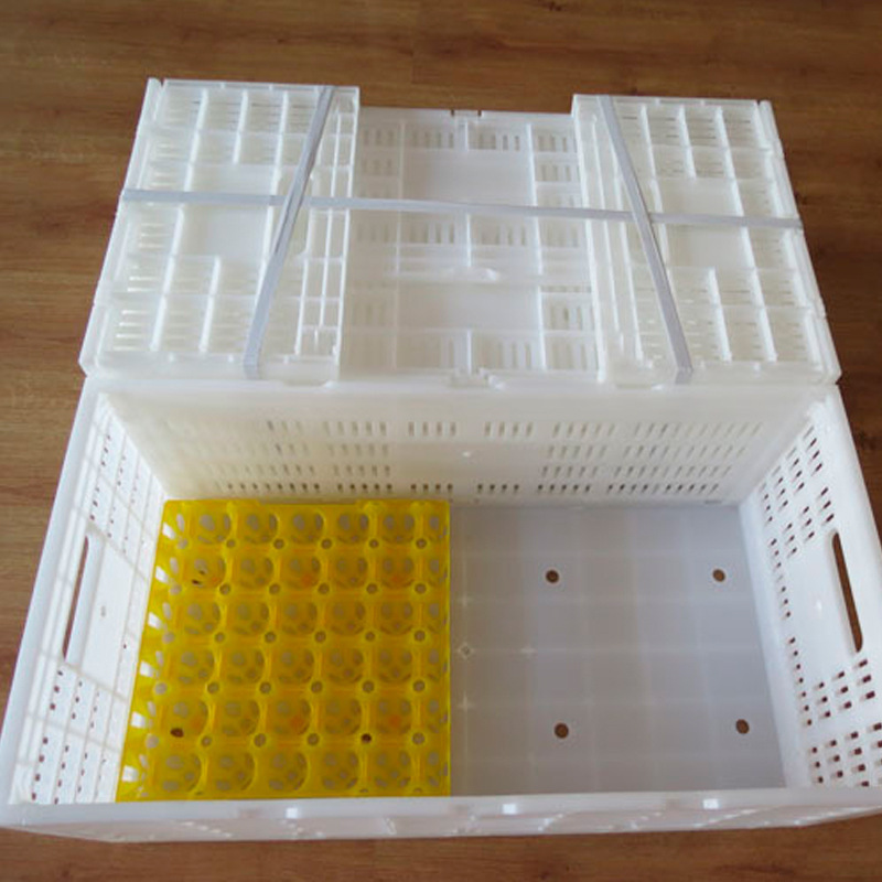 塑料折叠蛋箱 鸡蛋周转箱周转筐 塑料筐 鸡鸭鹅蛋运输框厂家供应