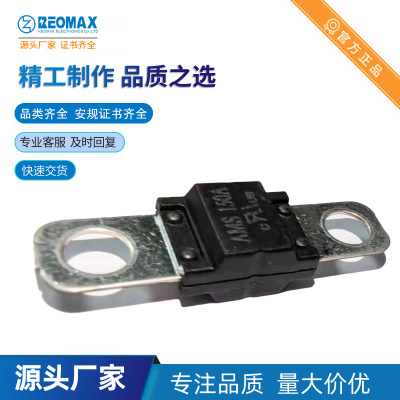 螺栓汽车AMS 200A100V 80V 72V 41*30*12 M6孔小号叉栓汽车保险丝