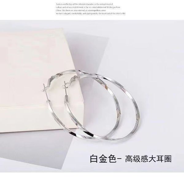 New European and American earrings elegant big earrings earrings 2023 Internet celebrity personality super popular exaggerated circle 925 silver needle