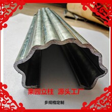 非水泥柱 边耳挂槽 镀锌镀锌欧式葡萄园 金属站柱 支架 架 棚架